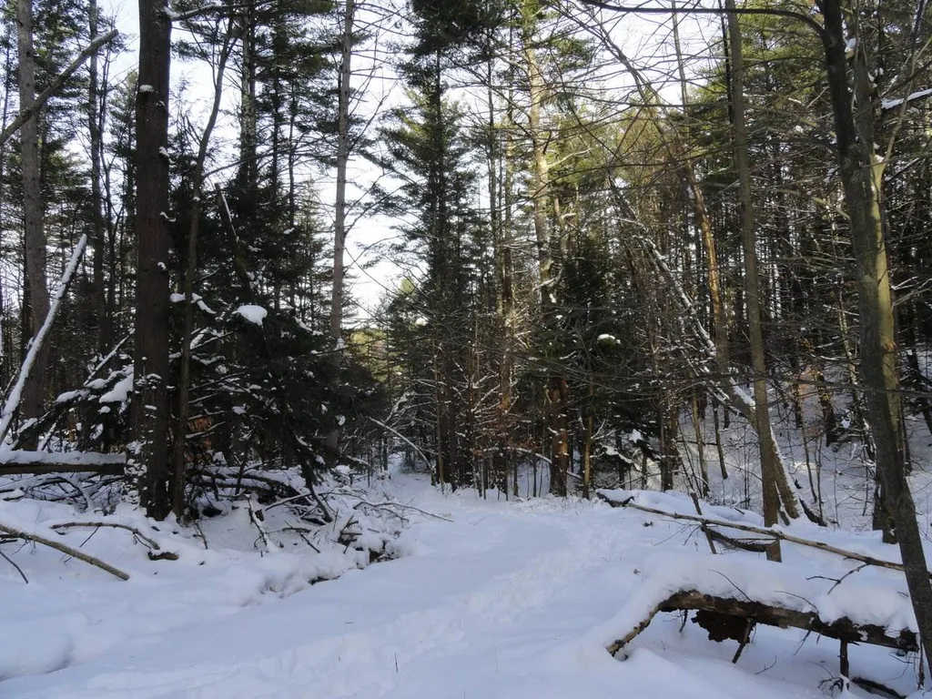 20 Milo White Road Jericho VT 05465