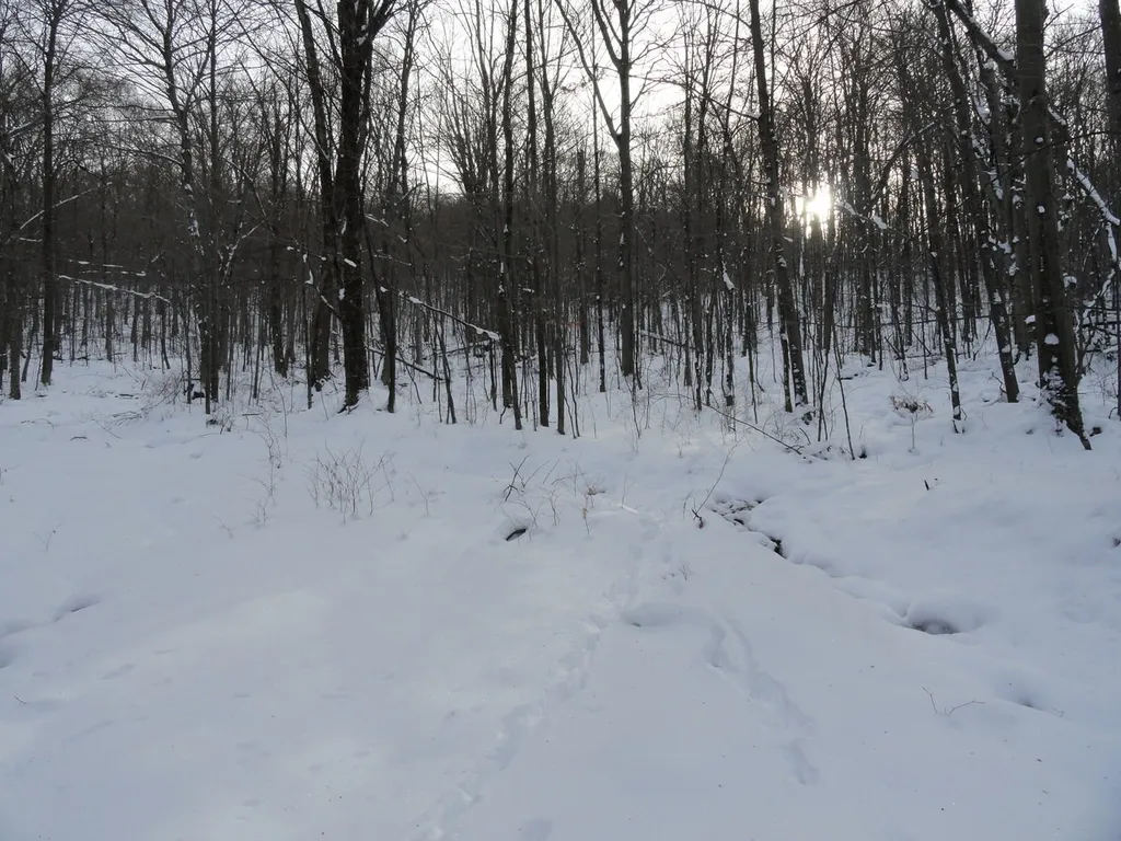 20 Milo White Road Jericho VT 05465