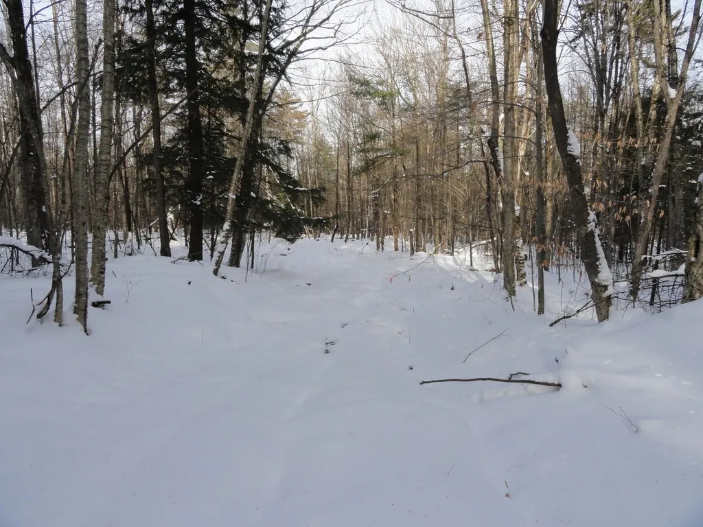 20 Milo White Road Jericho VT 05465