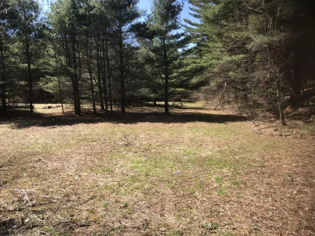 20 Milo White Road Jericho VT 05465