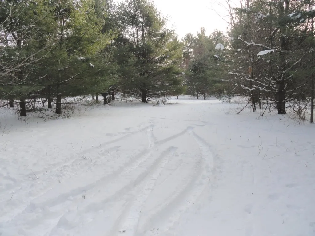 20 Milo White Road Jericho VT 05465
