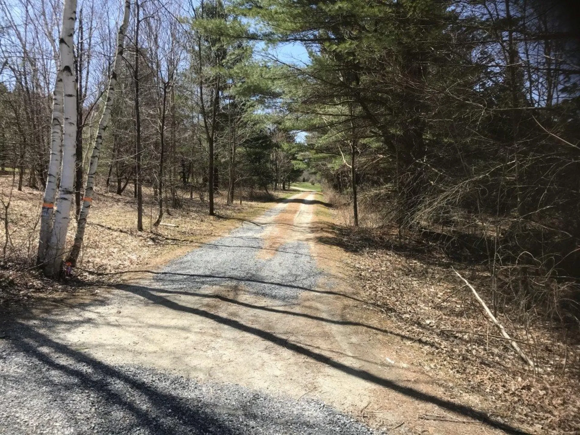 20 Milo White Road Jericho VT 05465