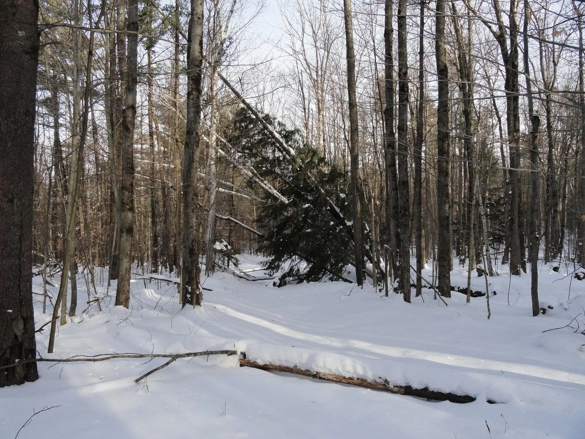 20 Milo White Road Jericho VT 05465