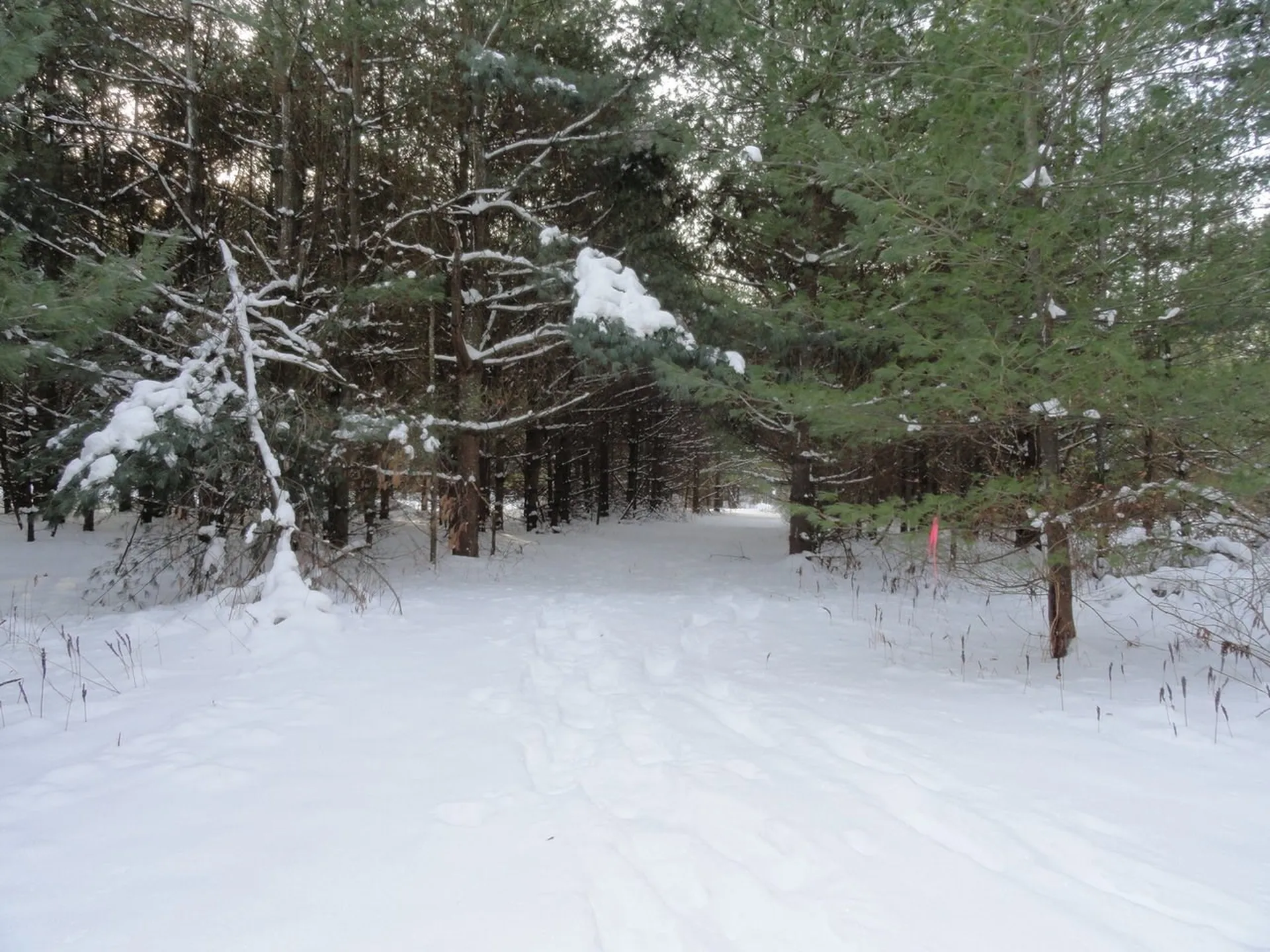 20 Milo White Road Jericho VT 05465