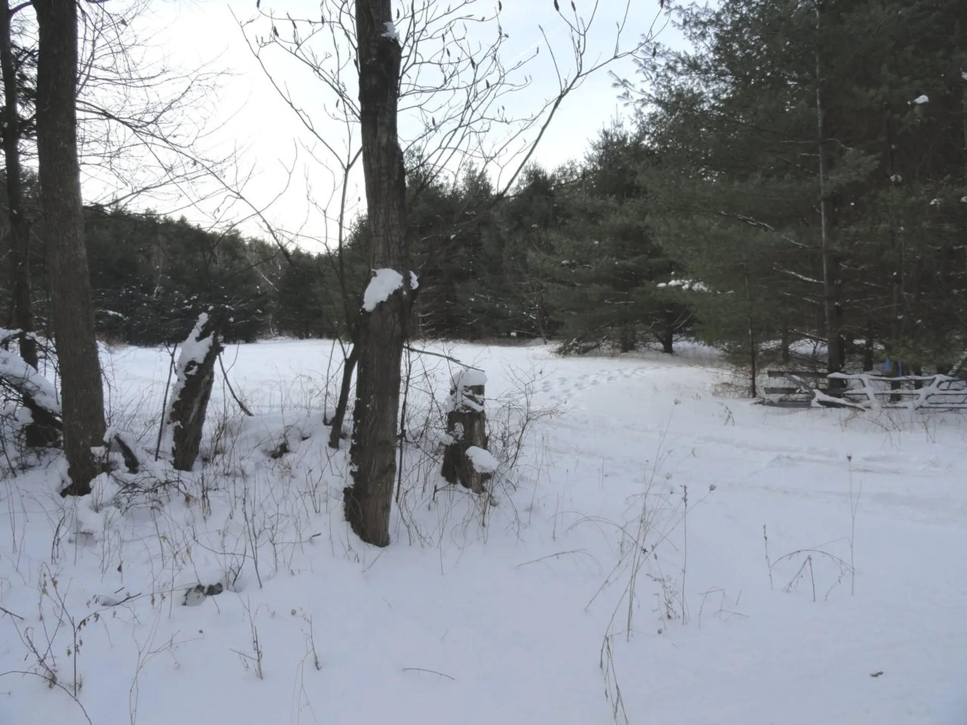 20 Milo White Road Jericho VT 05465