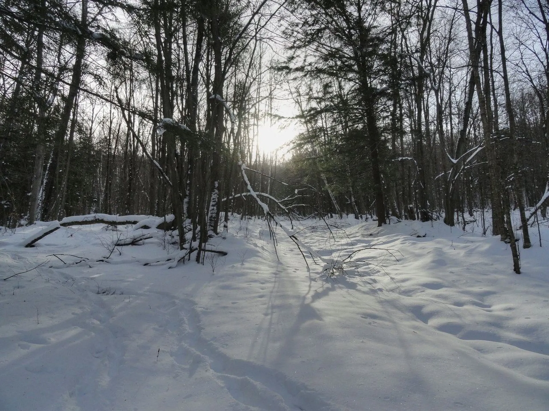 20 Milo White Road Jericho VT 05465