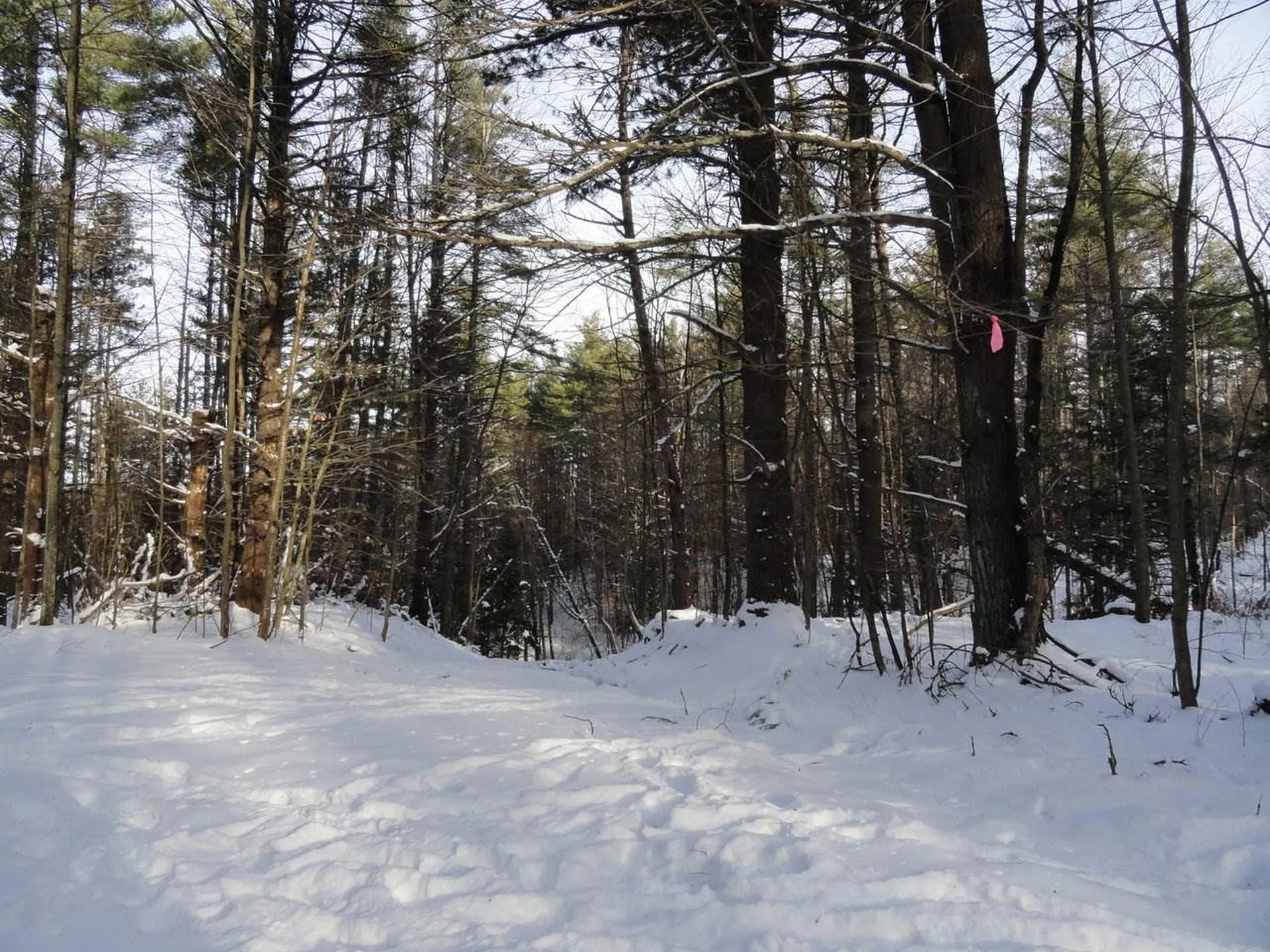 20 Milo White Road Jericho VT 05465