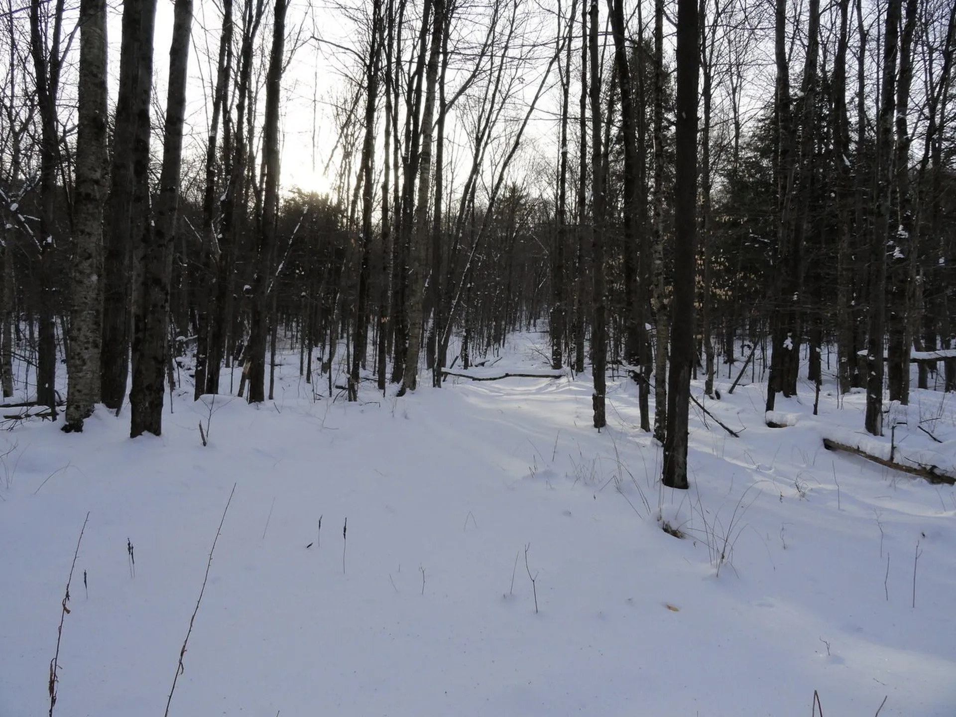 20 Milo White Road Jericho VT 05465