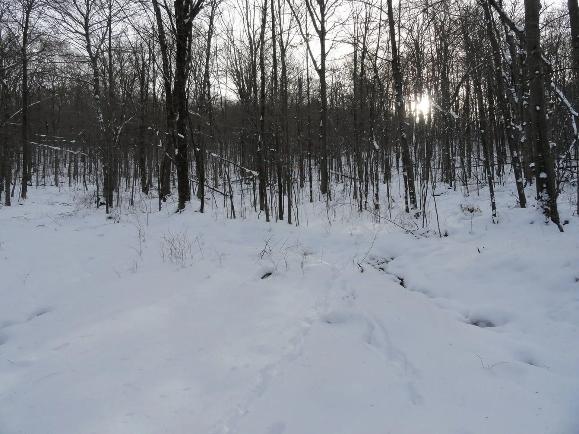 20 Milo White Road Jericho VT 05465