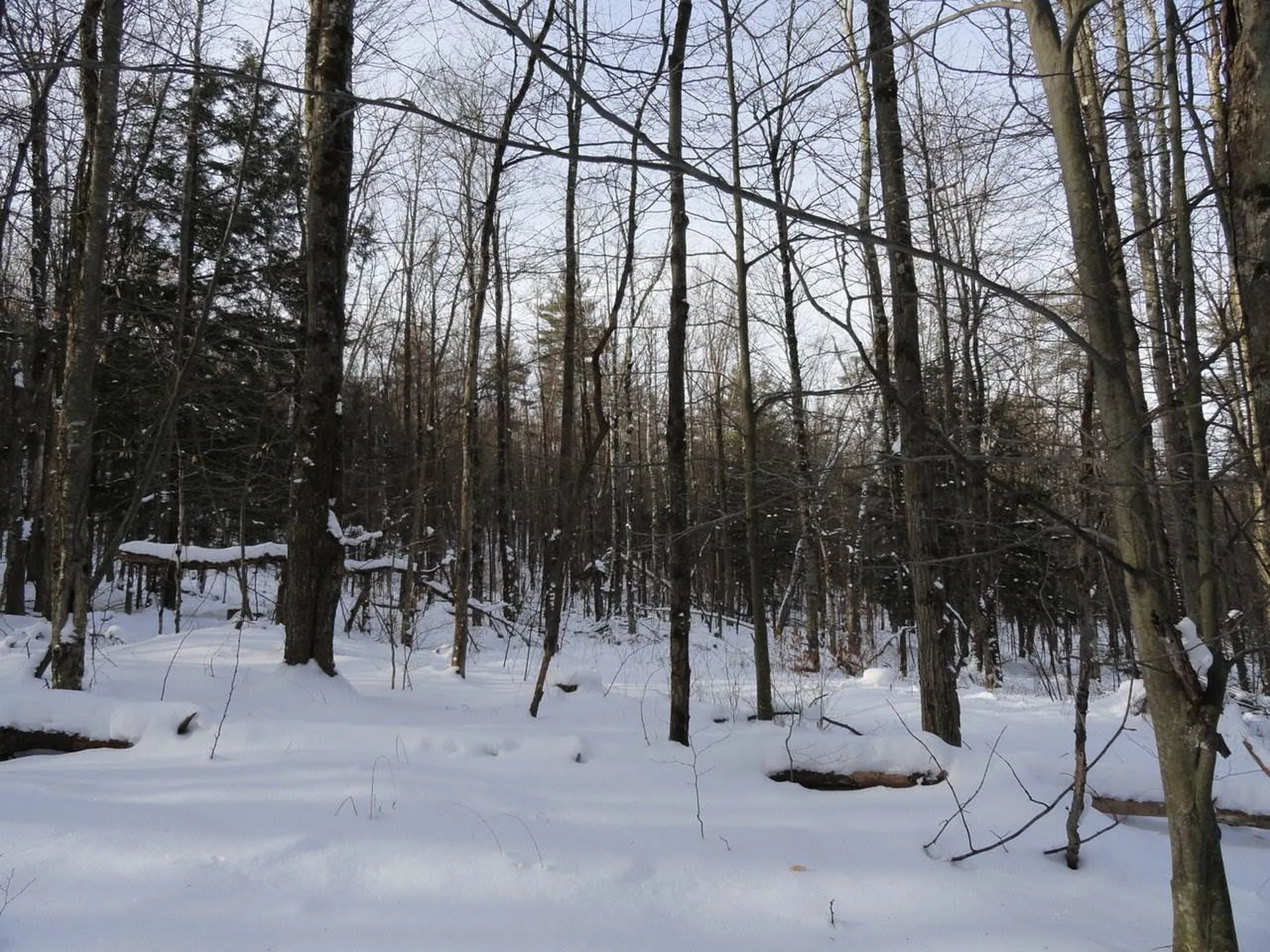 20 Milo White Road Jericho VT 05465