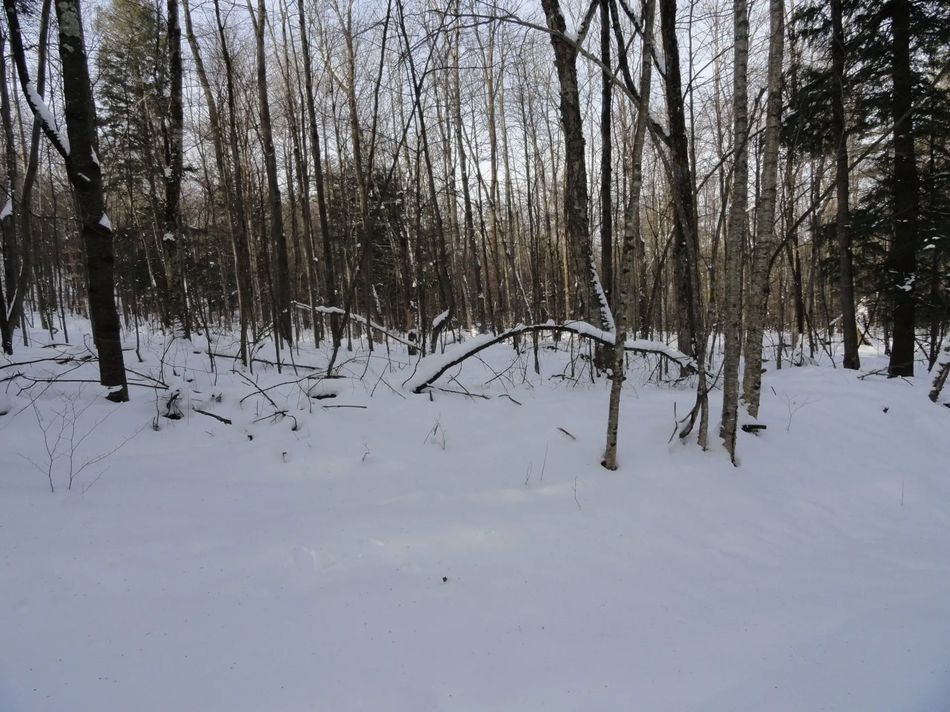 20 Milo White Road Jericho VT 05465
