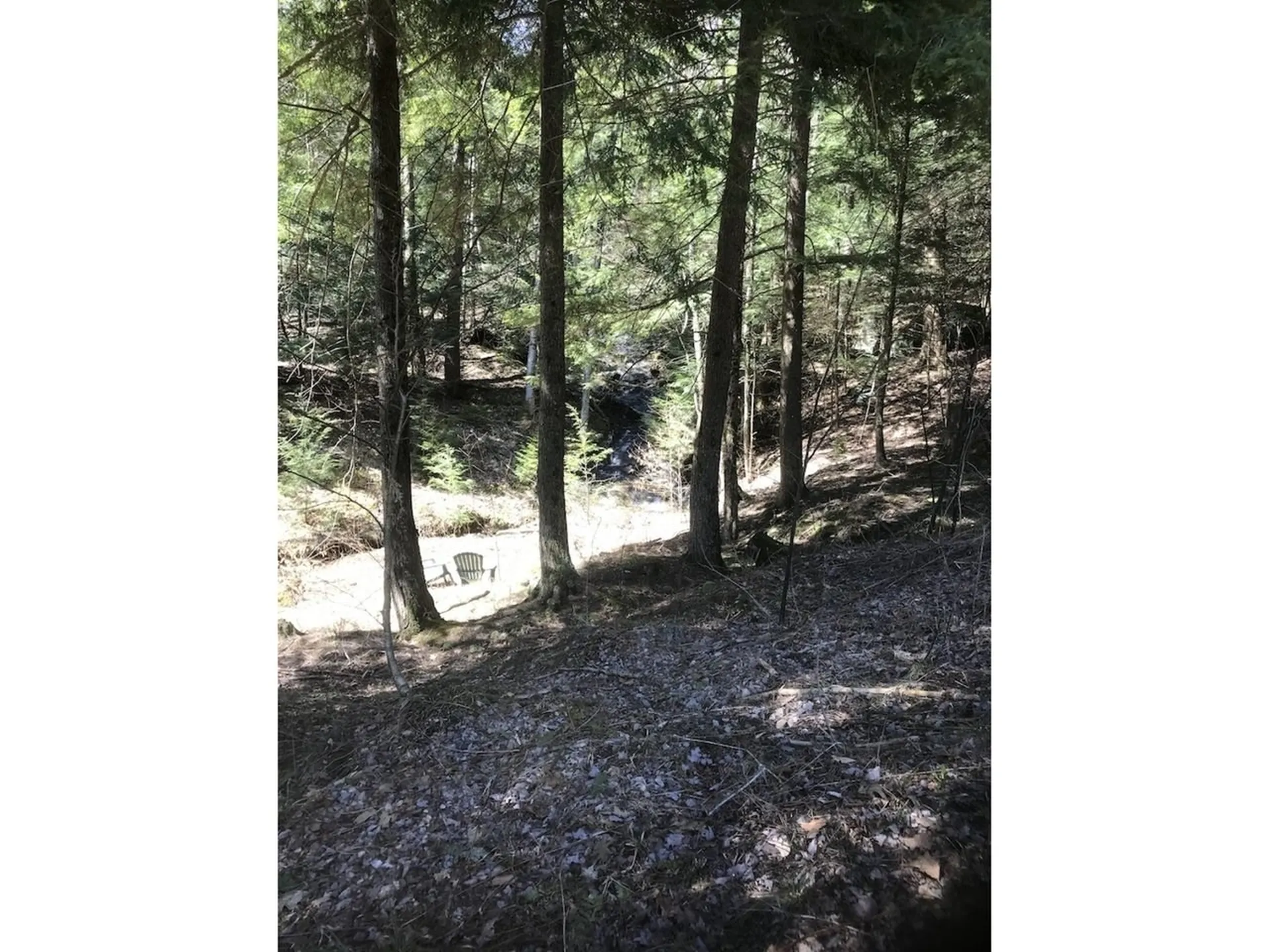20 Milo White Road Jericho VT 05465