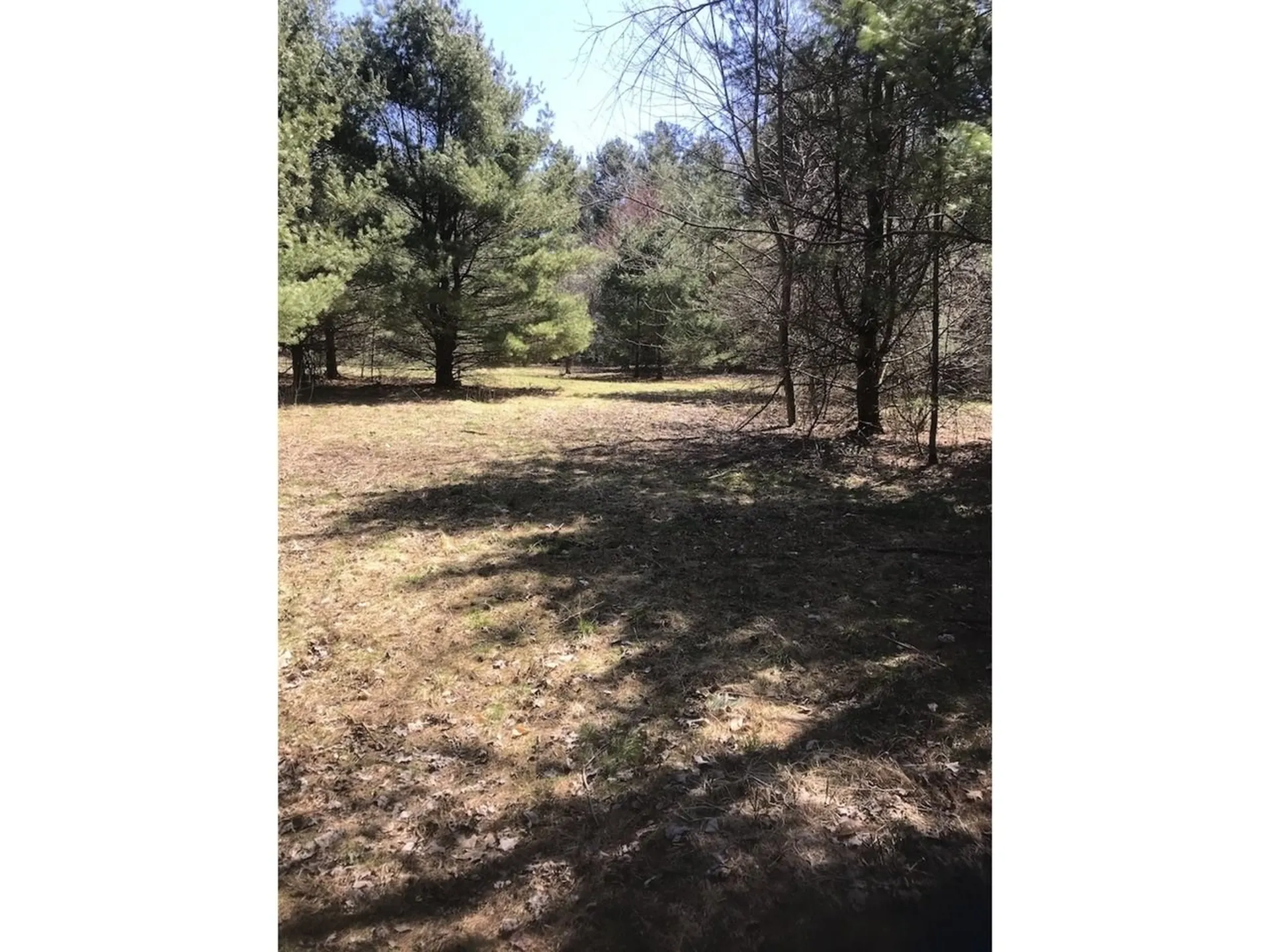 20 Milo White Road Jericho VT 05465