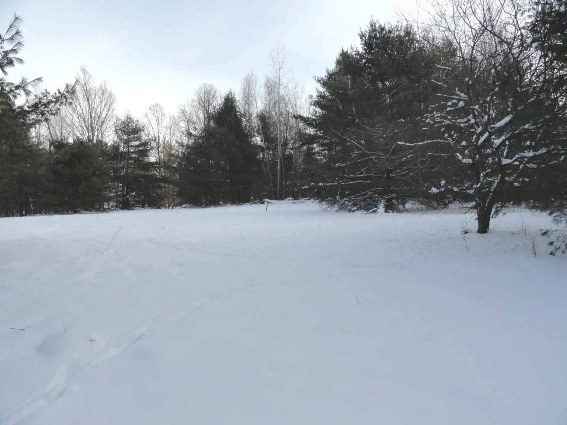 20 Milo White Road Jericho VT 05465