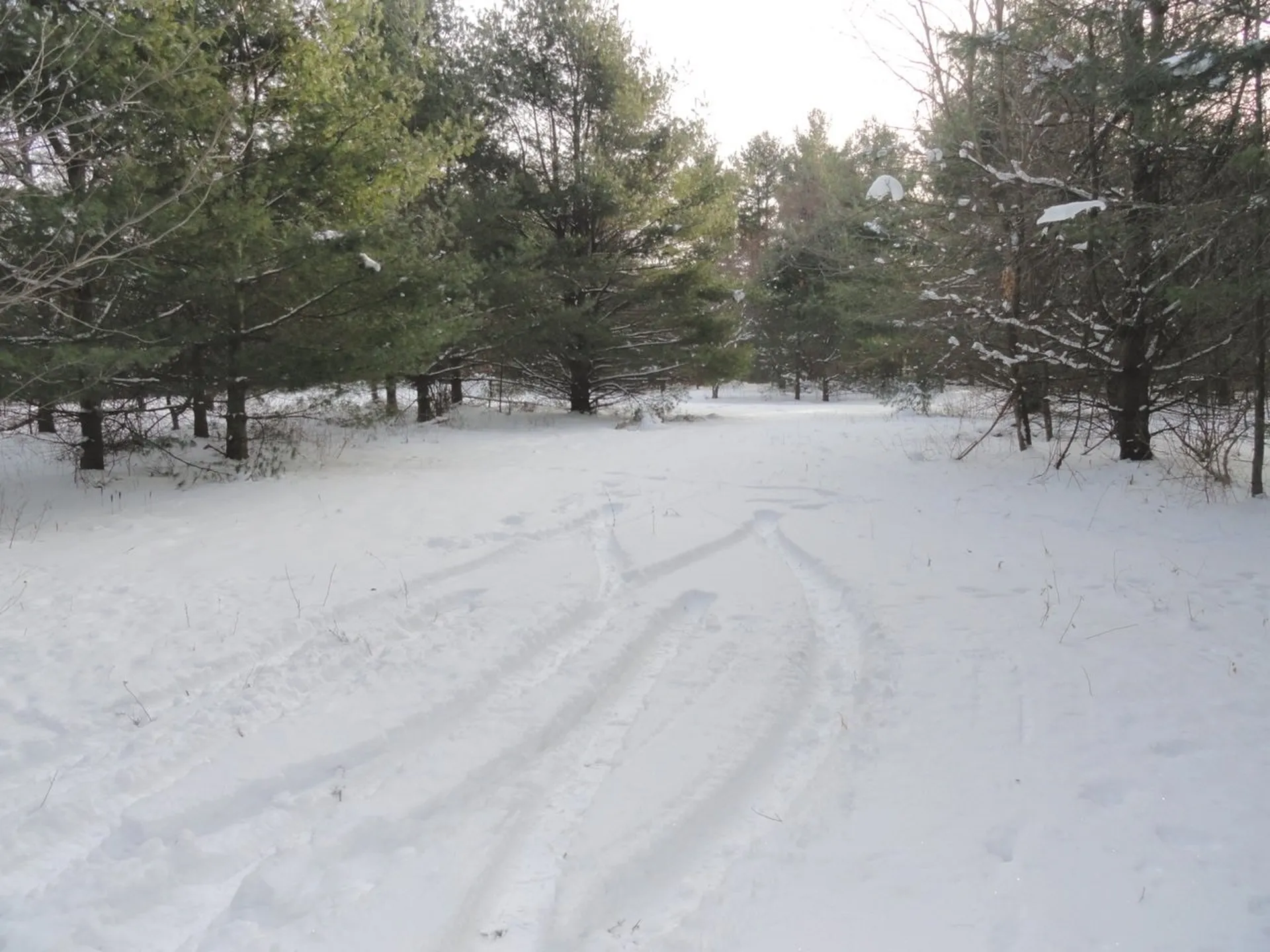 20 Milo White Road Jericho VT 05465