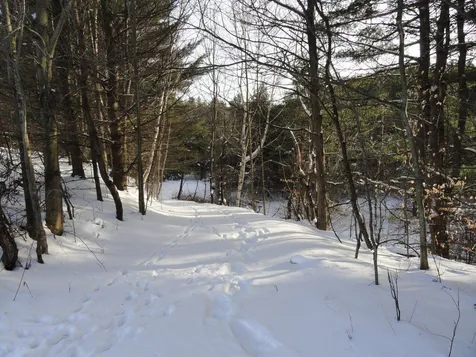20 Milo White Road Jericho VT 05465