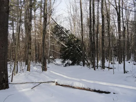 20 Milo White Road Jericho VT 05465