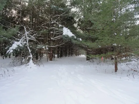 20 Milo White Road Jericho VT 05465
