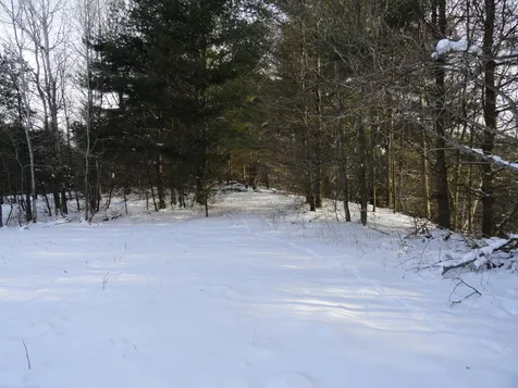 20 Milo White Road Jericho VT 05465