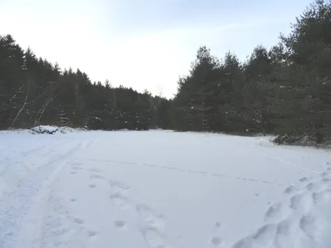 20 Milo White Road Jericho VT 05465