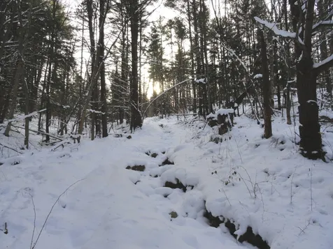 20 Milo White Road Jericho VT 05465