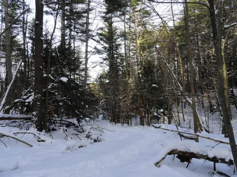 20 Milo White Road Jericho VT 05465