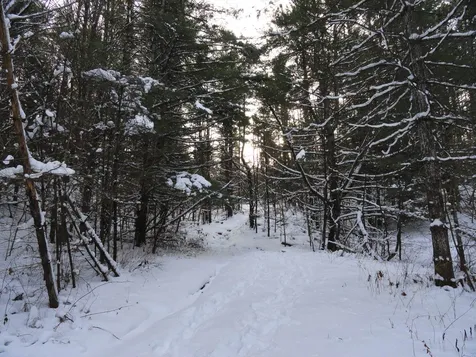 20 Milo White Road Jericho VT 05465