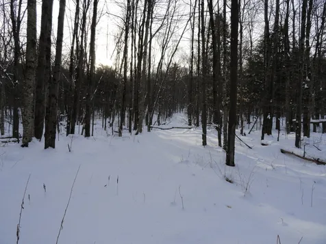20 Milo White Road Jericho VT 05465