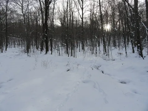 20 Milo White Road Jericho VT 05465