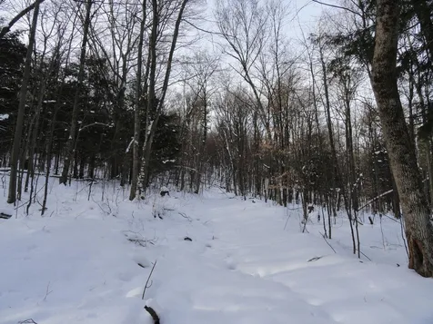20 Milo White Road Jericho VT 05465