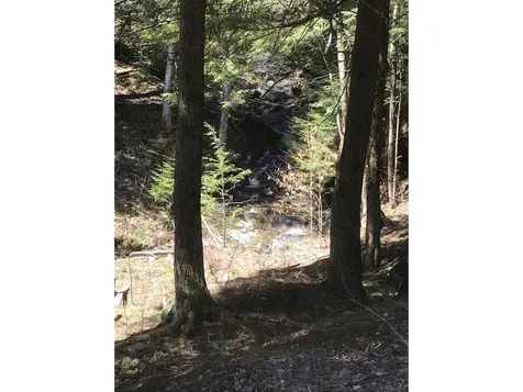 20 Milo White Road Jericho VT 05465