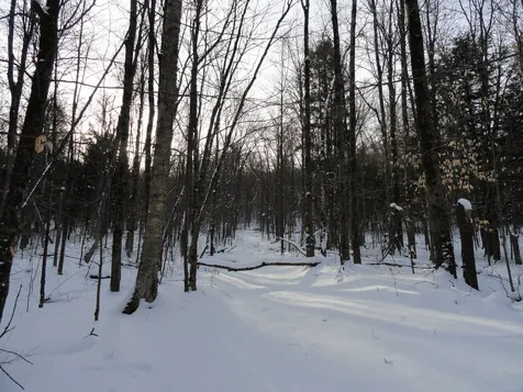 20 Milo White Road Jericho VT 05465