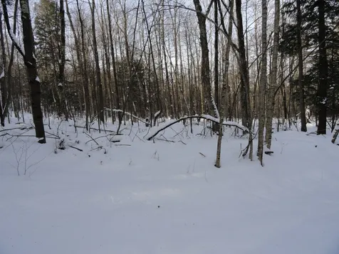 20 Milo White Road Jericho VT 05465