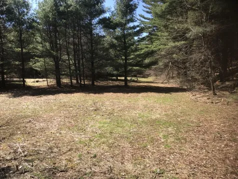 20 Milo White Road Jericho VT 05465