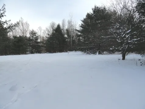 20 Milo White Road Jericho VT 05465