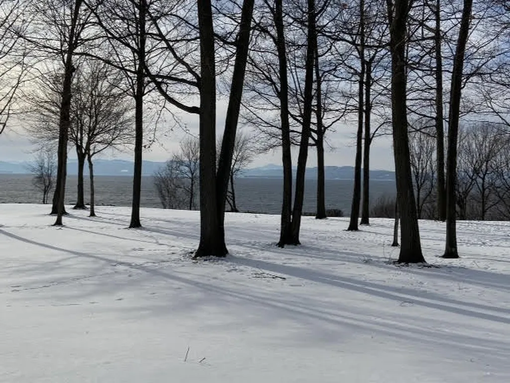 11 Northshore Drive Burlington VT 05408