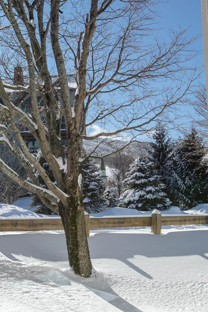 14 Middle Ridge Road Winhall VT 05340