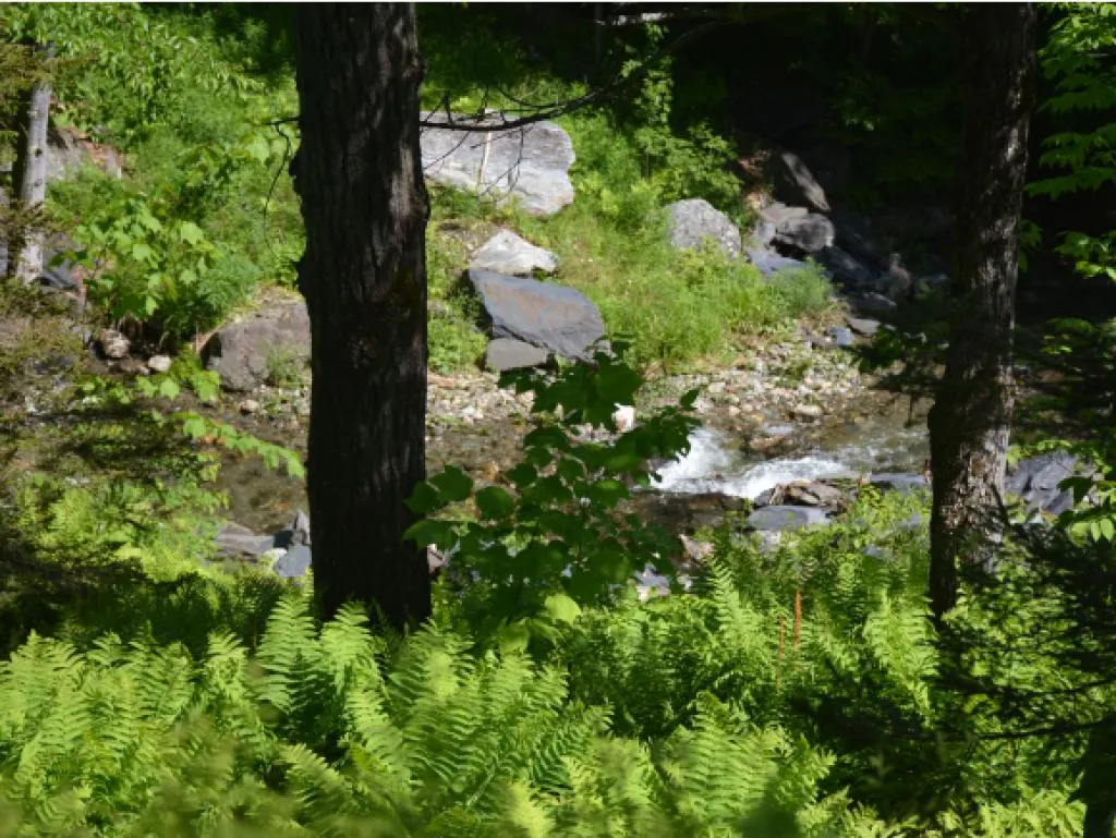 1927 West Hill Road Warren VT 05674