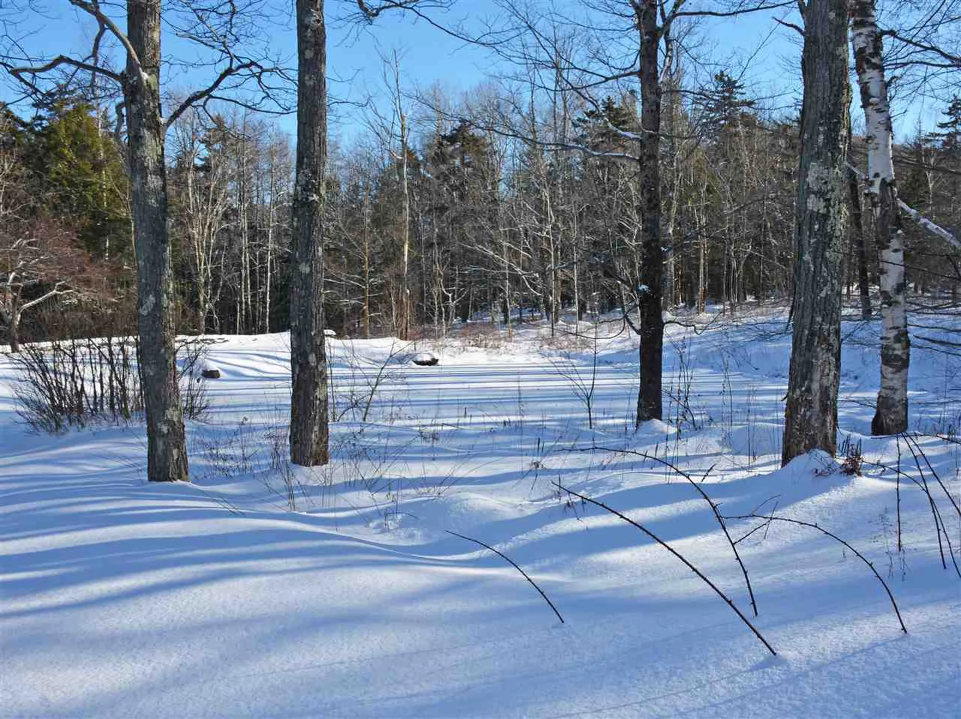 1927 West Hill Road Warren VT 05674
