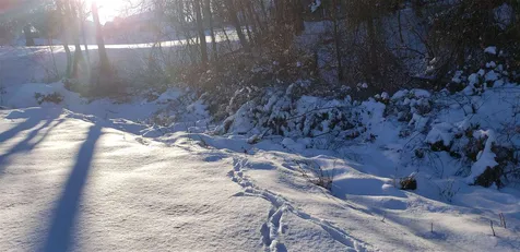 8 Nel Mar Heights Claremont NH 03743