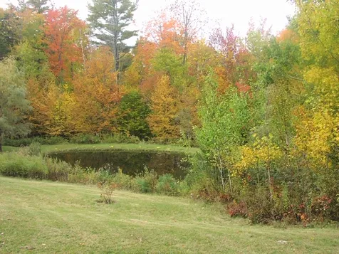 563 Norrie Davies Road Cavendish VT 05142