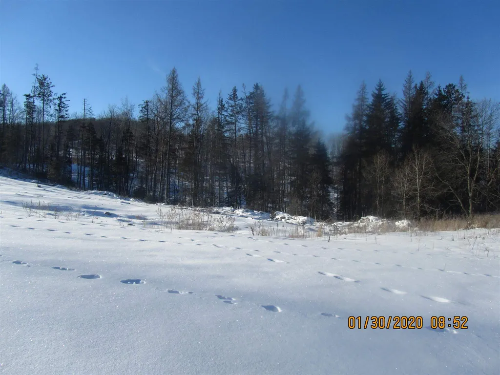 108 Vershire Center Road Chelsea VT 05068