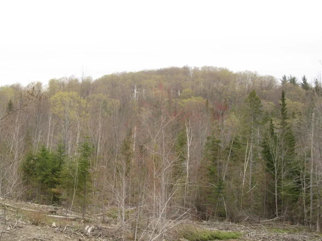 108 Vershire Center Road Chelsea VT 05068