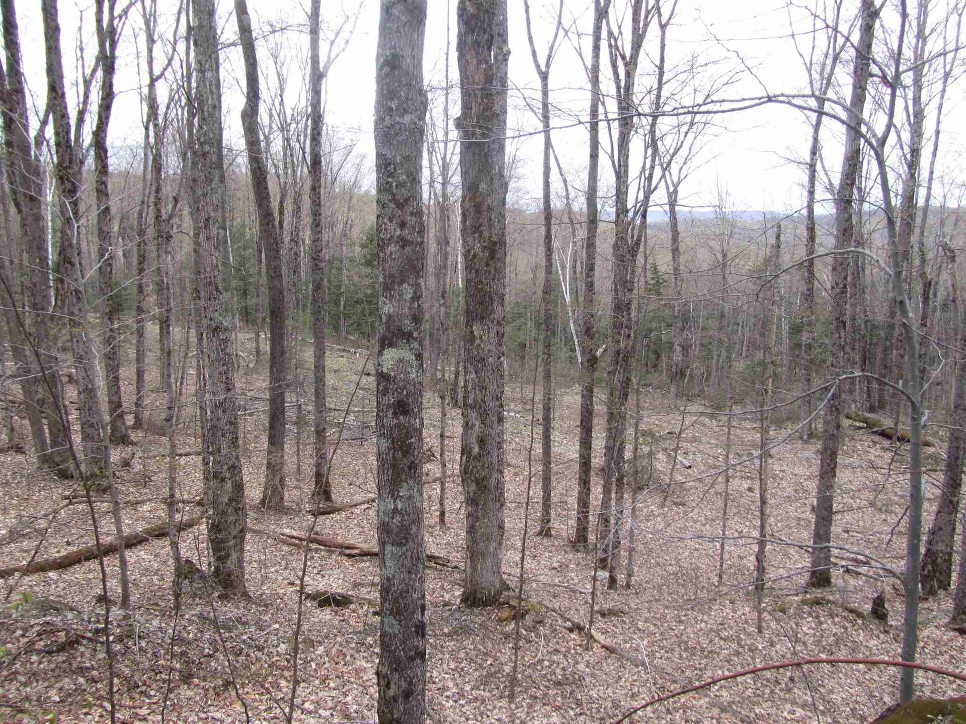 108 Vershire Center Road Chelsea VT 05068