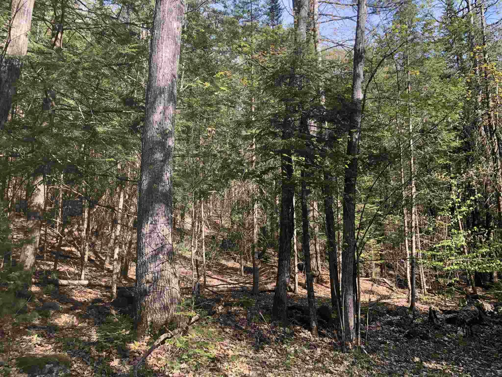 0 Tarbox Road Bradford VT 05033
