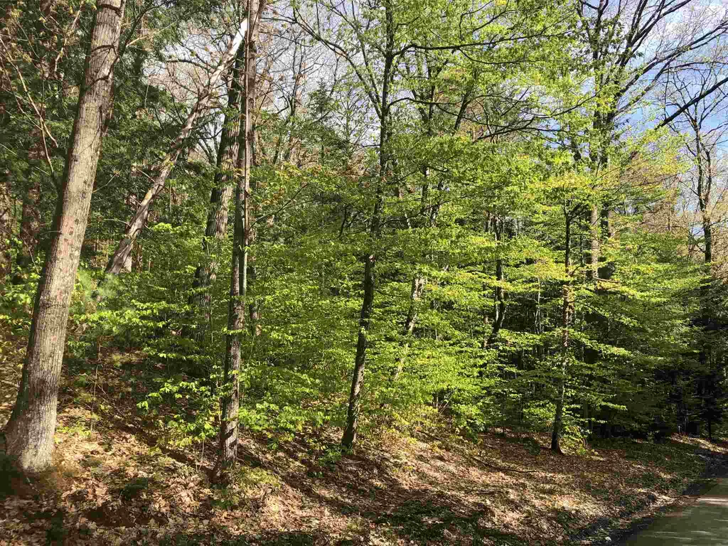 0 Tarbox Road Bradford VT 05033