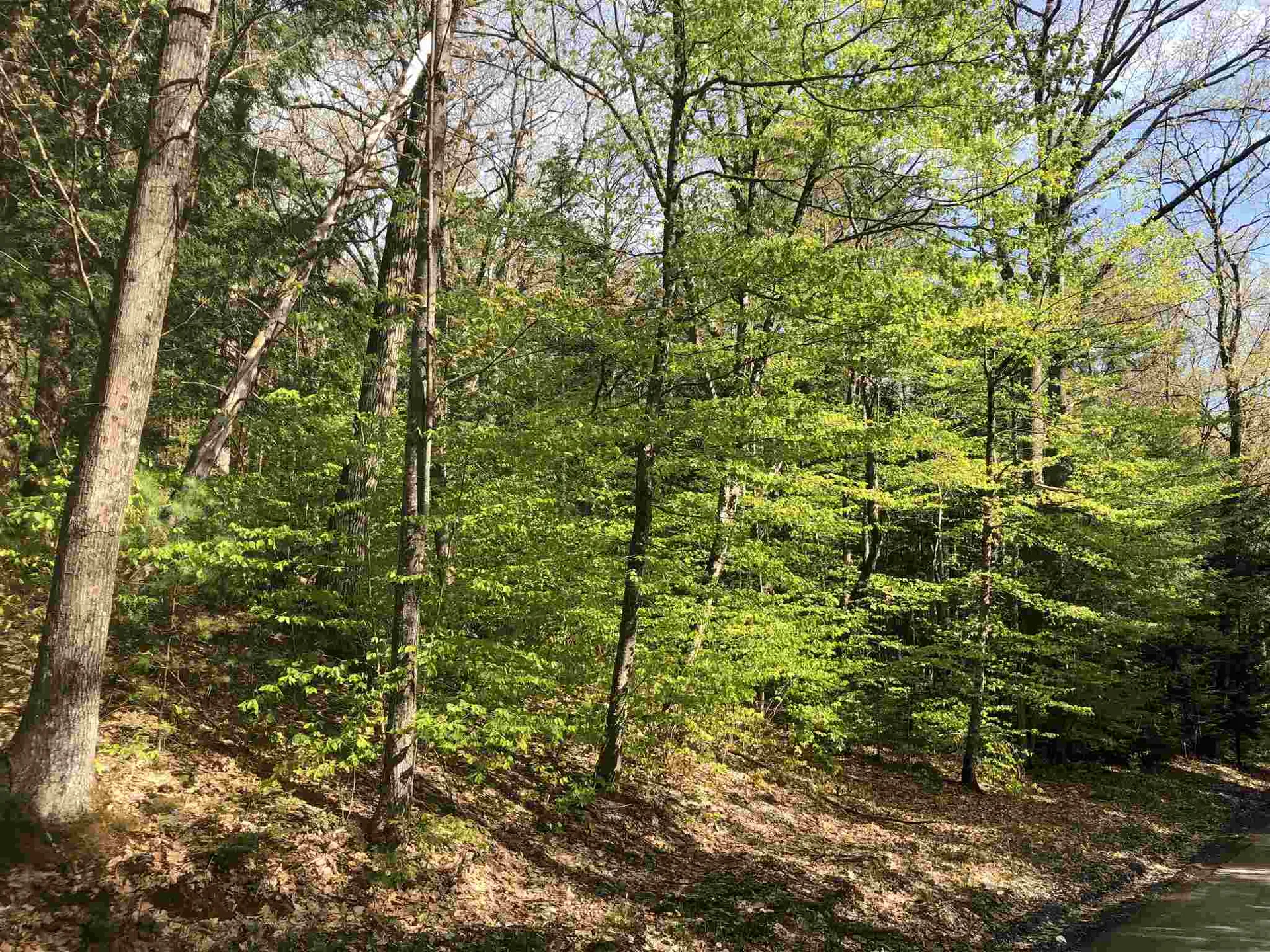 0 Tarbox Road Bradford VT 05033