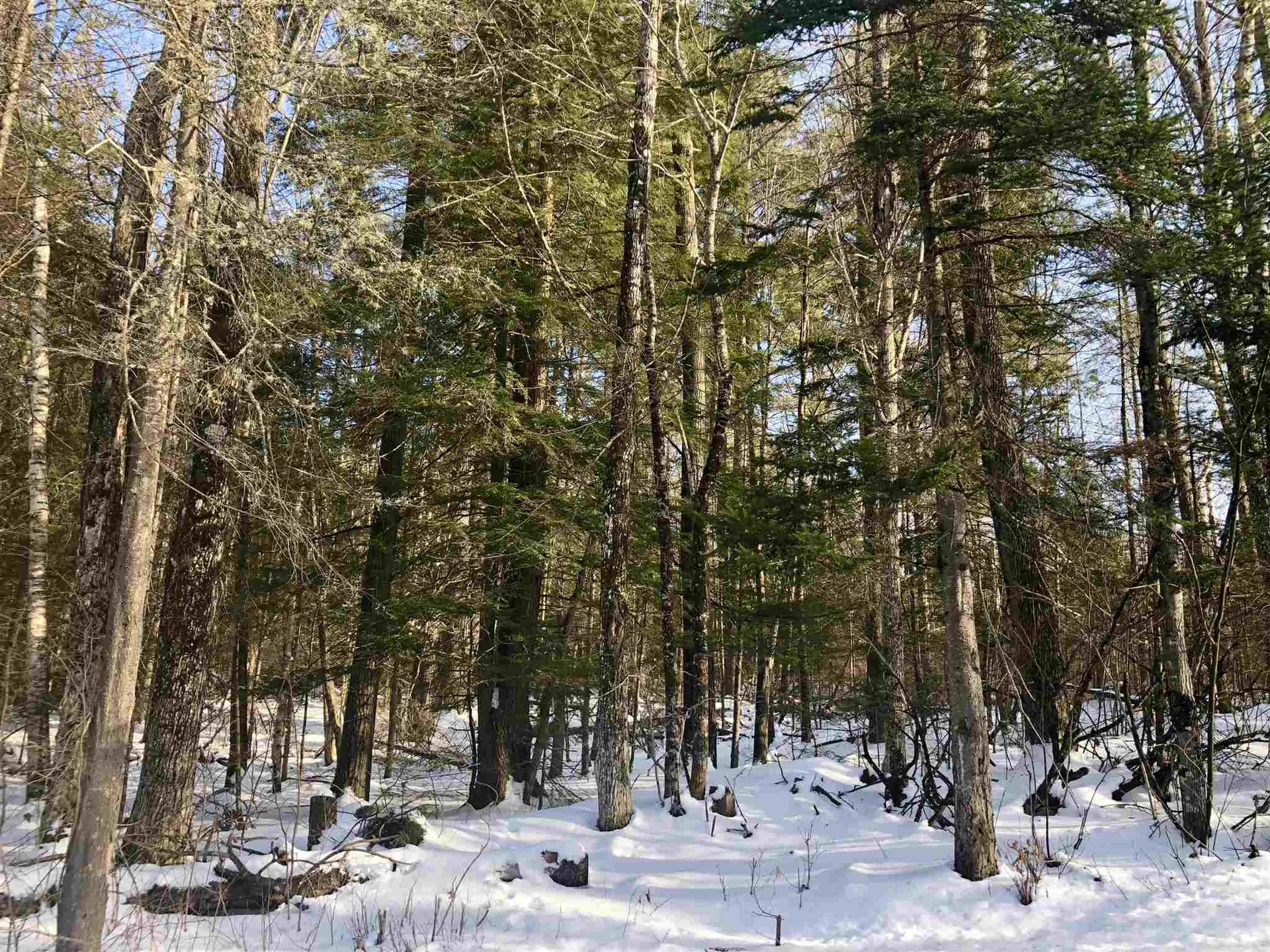 0 Tarbox Road Bradford VT 05033