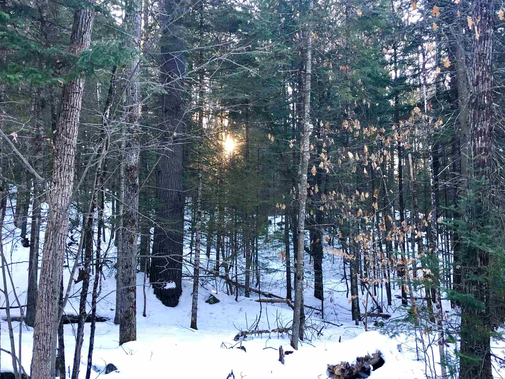 0 Tarbox Road Bradford VT 05033