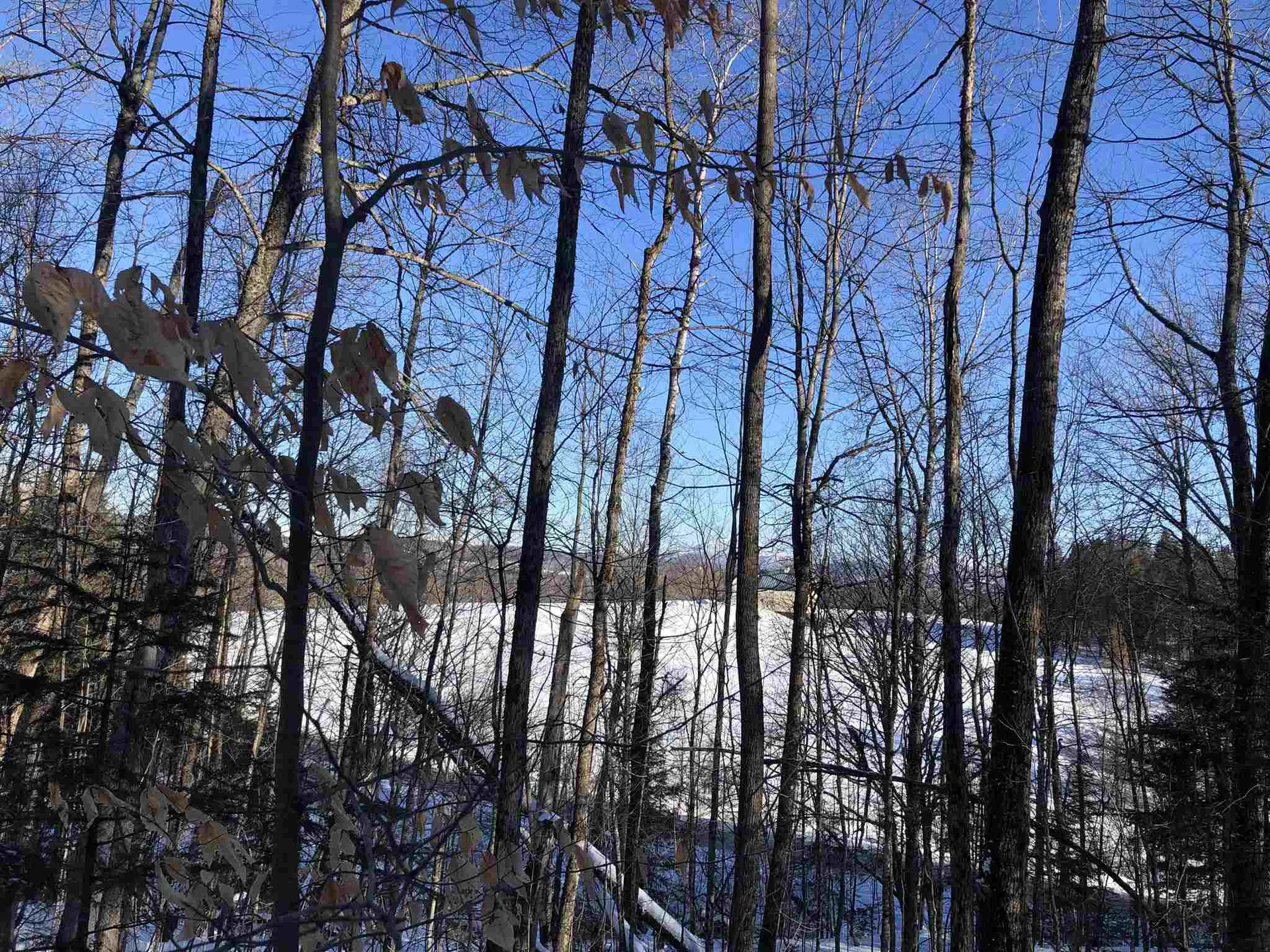 00 Vertical Mile Road Wheelock VT 05851
